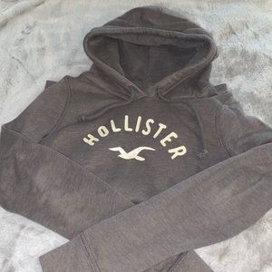 Hollister Hoodie
